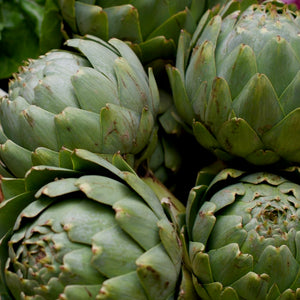 Artichokes