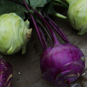 Kohlrabi