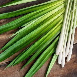 Lemon Grass