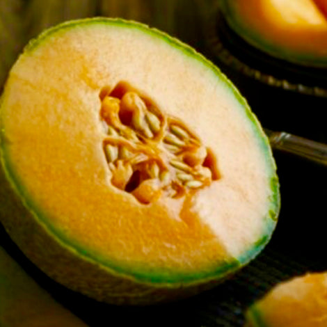 Cantaloupe