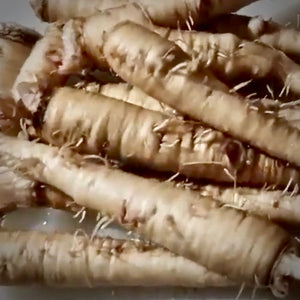 Salsify