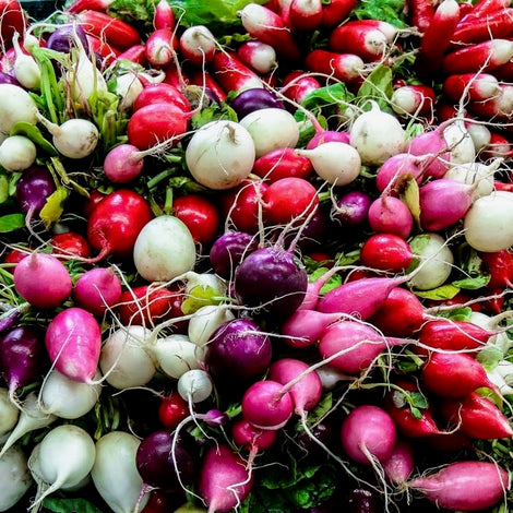 Radishes