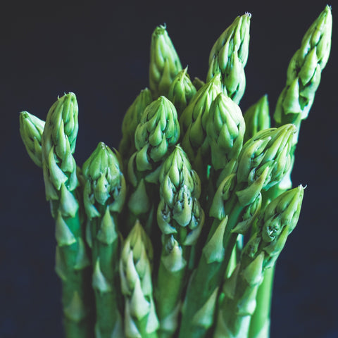 Asparagus - Mary Washington