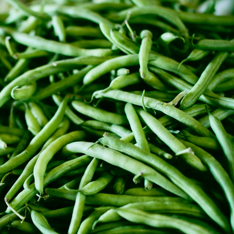 Beans - Accelerate Bush Green Beans (bush type)