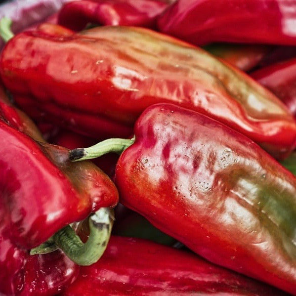 Hot Peppers - Anaheim Chili