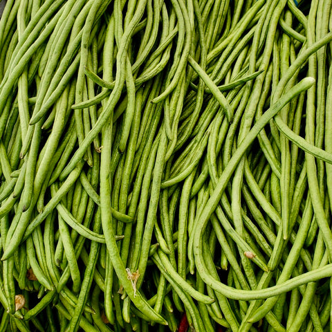 Beans - Asparagus Green Podded Yard Long Beans