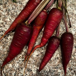 Carrots - Atomic Red