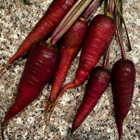 Carrots - Atomic Red