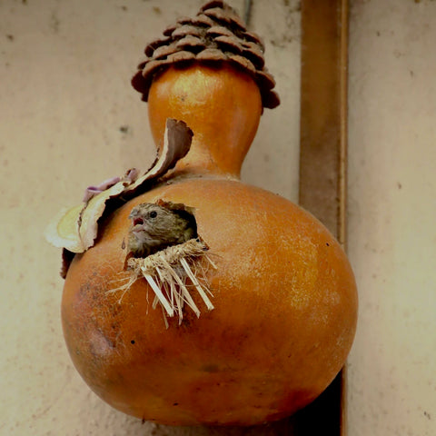 Gourd - Bird House