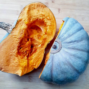 Squash - Blue Hubbard (Winter Squash)