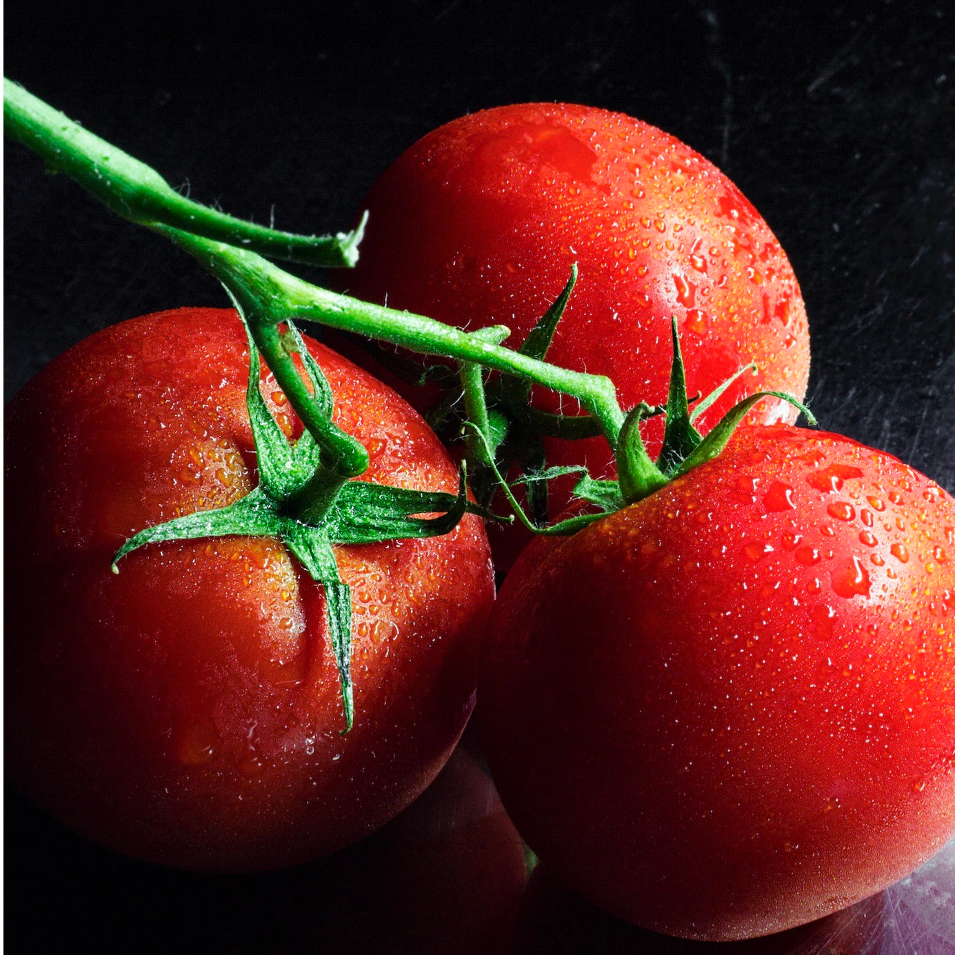 Tomato - Boxcar Willie