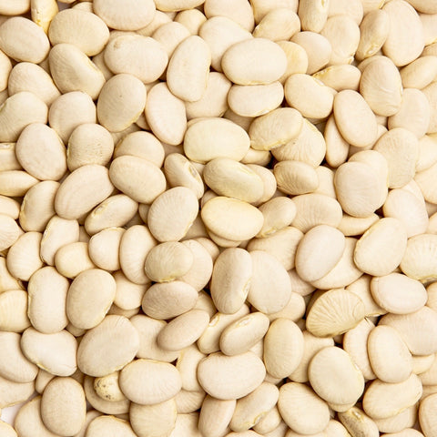 Beans - Dixie Butterpea White Lima Beans (Bush type)