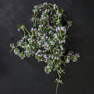 Thyme - English