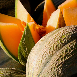 Cantaloupe - Hales Best Jumbo