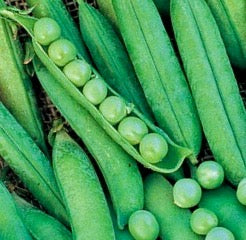 Peas - Lincoln (Shell Peas)