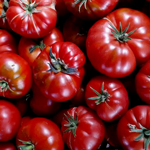 Tomato - Marmande Italian Tomato