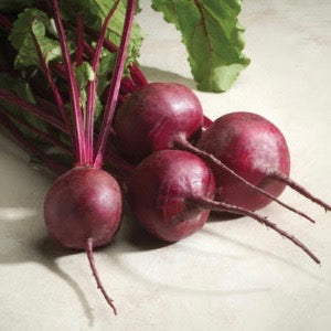 Beets - Merlin F1 (Hybrid)