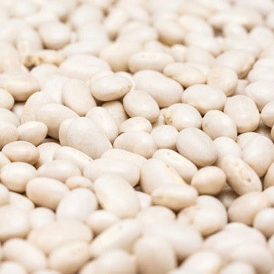 Beans - Navy Bean (Dry Shell)