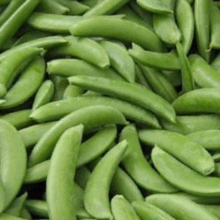 Peas - Oregon Giant (Sugar Snow Peas)