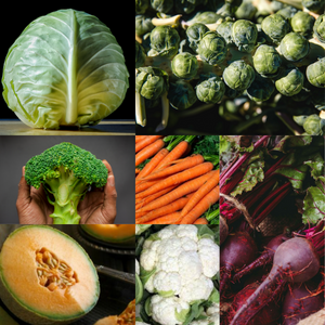 Vegetable Variety Pack 1