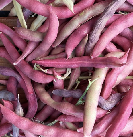 Beans - Pink Half Runner