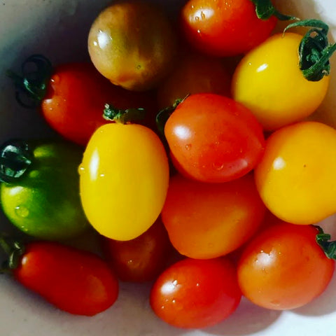 Tomato - Rainbow Cherry Mix