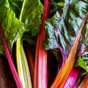 Swiss Chard - Rainbow