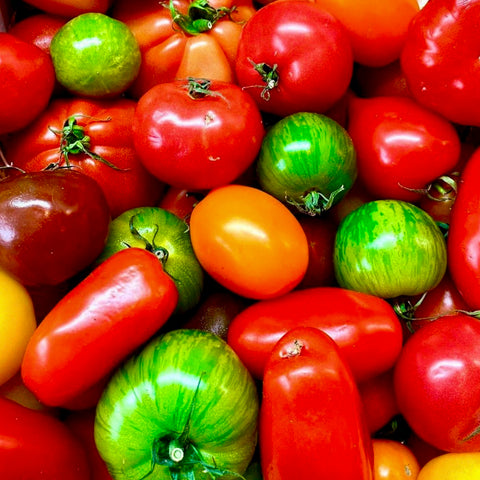 Tomato - Heirloom Rainbow Mix