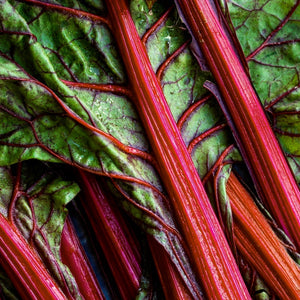 Swiss Chard - Ruby Red Chard