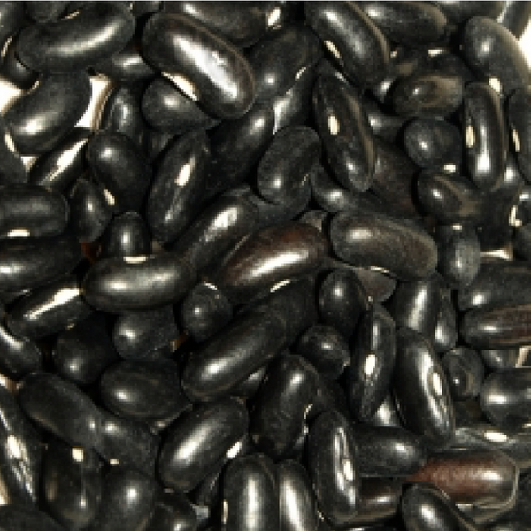 Beans - Black Pencil Pod Beans (Bush Snap Beans - Wax Type)