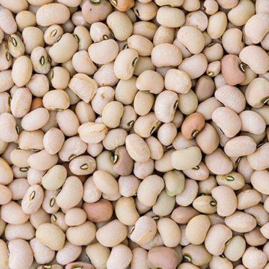 Peas - Texas Cream (Southern Cowpeas)