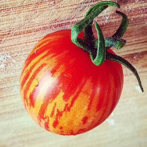 Tomato - Tigerella