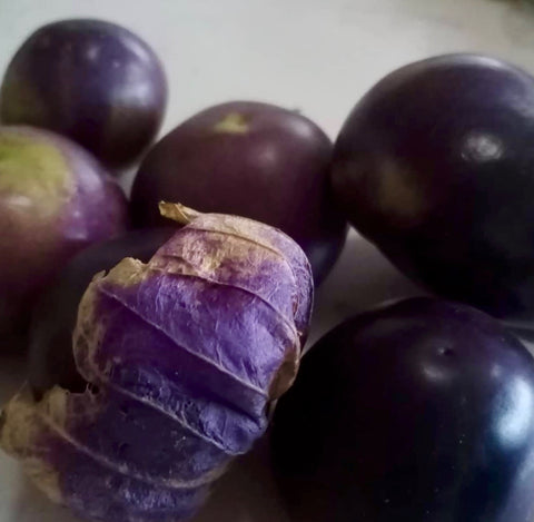 Tomato - Tomatillo Purple