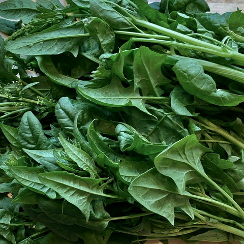 Spinach - Verdil