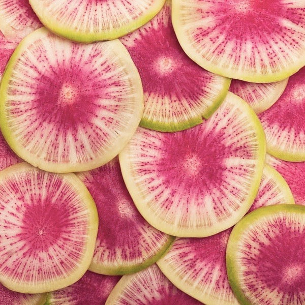 Radish - Watermelon