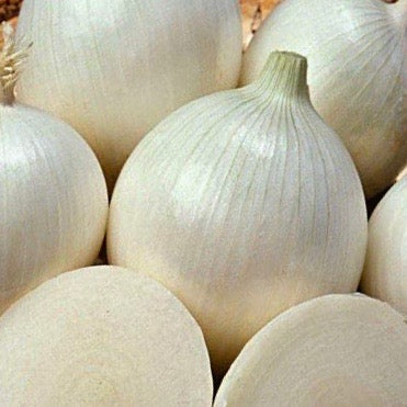 Onion - White Sweet Spanish