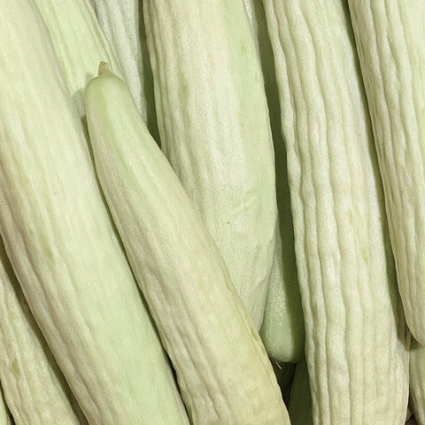 Cucumber - Armenian White (Slicer Cucumber)