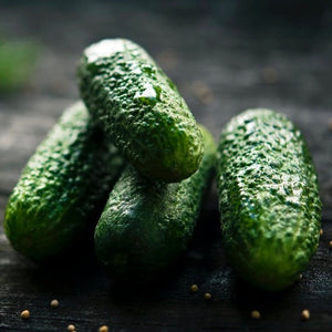 Cucumber - Boston Picking (Pickler Cucumber)