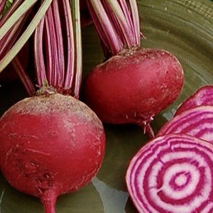 Beets - Chioggia