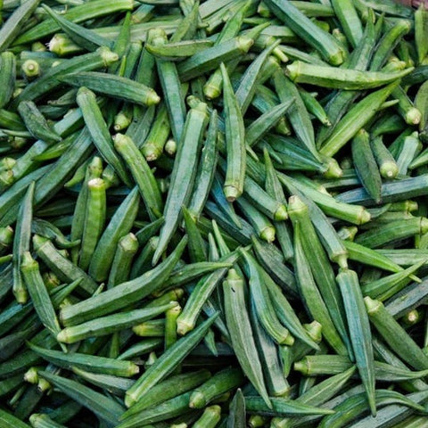 Okra - Dwarf Long Green Pod