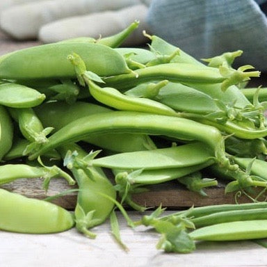 Peas - Dwarf White Sugar (Sugar Snow Peas)