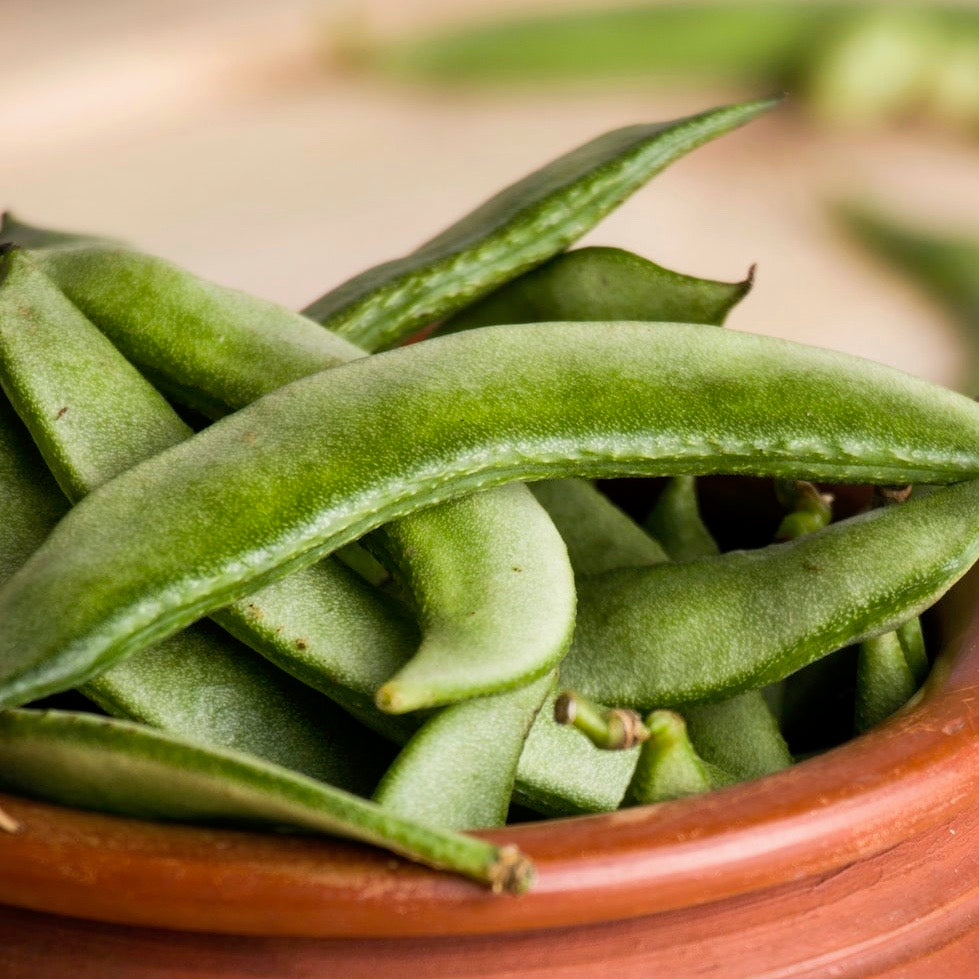 Peas - Oregon Sugar Snap (Sugar Snow Peas)