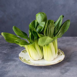 Cabbage - Pak Choi White Stem