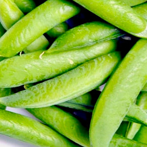 Peas - Penelope (Shell Peas)