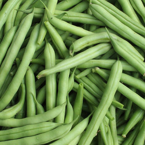 Beans - Provider (Bush type snap)