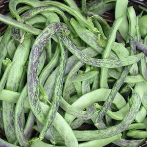 Beans - Rattlesnake Snap Beans (Pole Type)