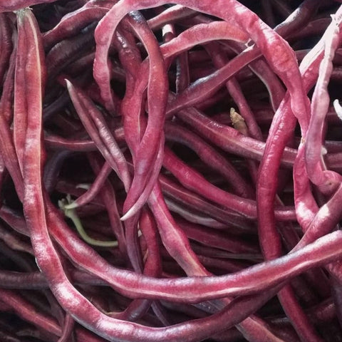 Beans - Red Noodle (Pole type)