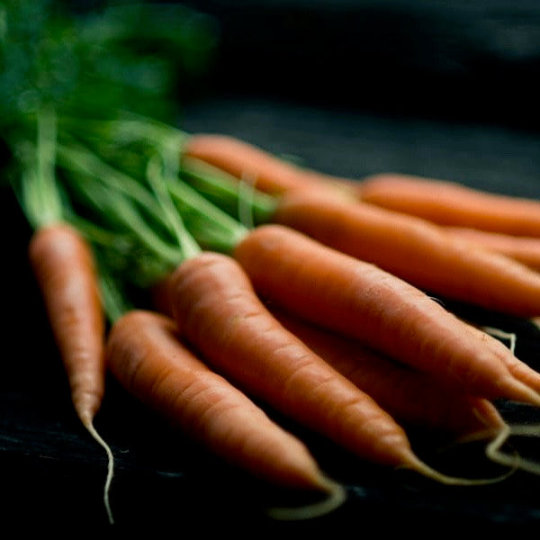 Carrots - Scarlet Nantes