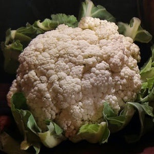 Cauliflower - Snowball Y