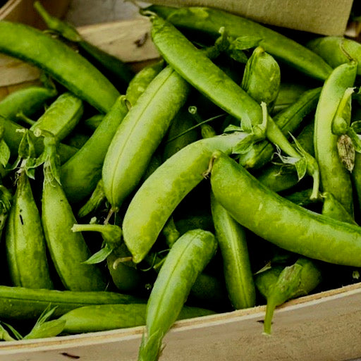 Peas - Sugar Snap (Sugar Snap Peas)